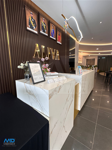 Aliva Sales Gallery (Mount Austin), Johor Bahru (JB), Malaysia