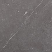 Fossil
