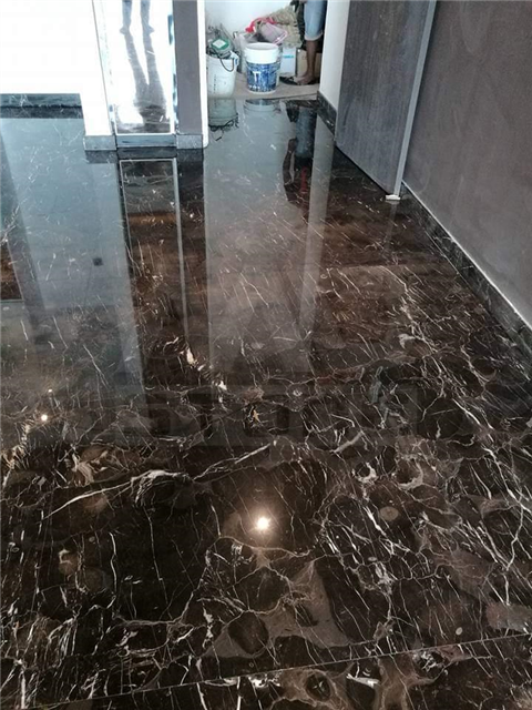 Twin Galaxy Apartment JohorBahru (JB)