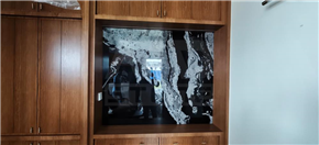 Mutiara Rini Show Unit