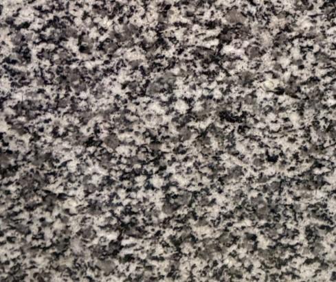 Granite Matou Flower Zhangpu G3588 G688