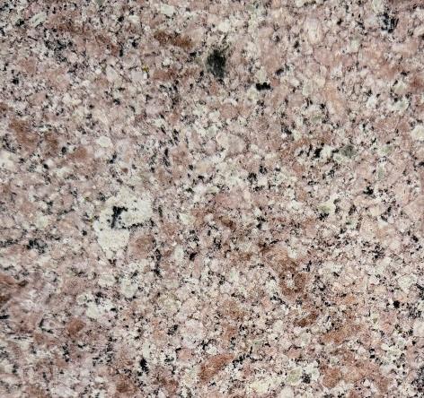Granite Lilac Purple Ningde G3568