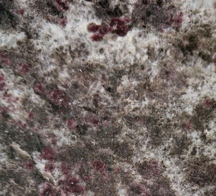 Granite Dreamlike Rose