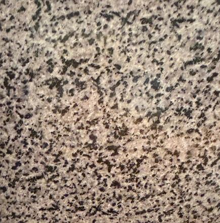 Granite Black Grain