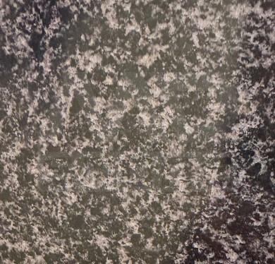 Granite Grey Grain