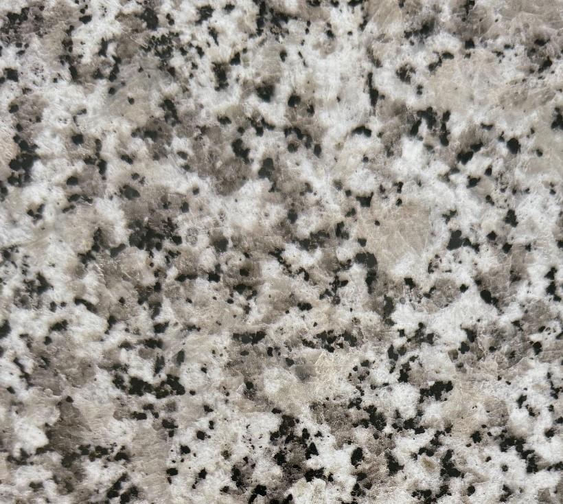 Granite Grigio Pearl