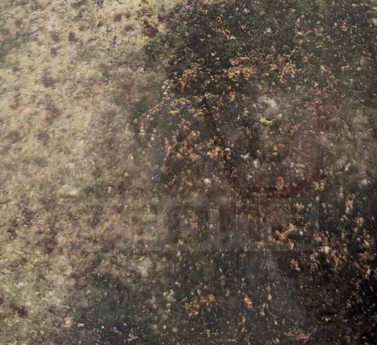 Granite Verde Tropical