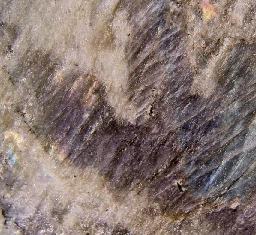 Granite Labradorite Multicolor