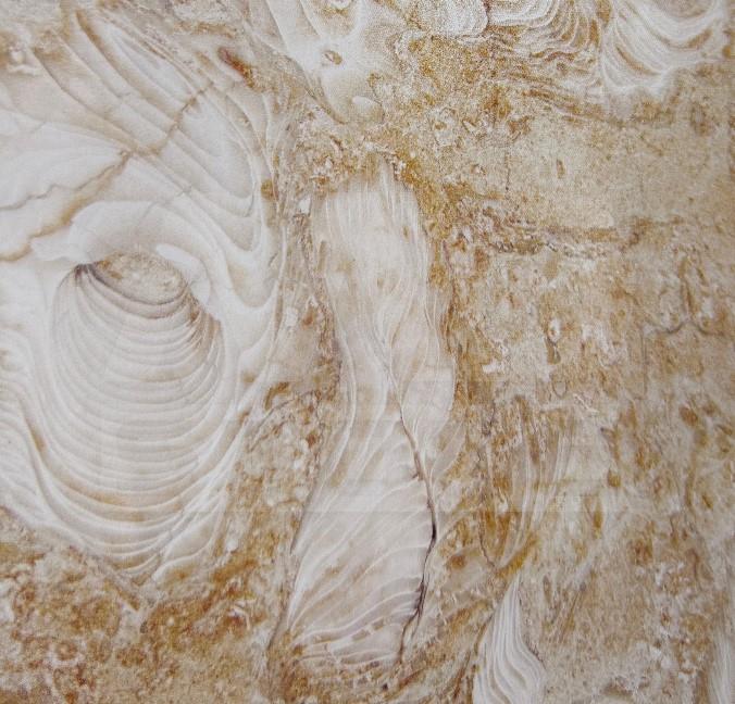 Marble Fossilous Beige