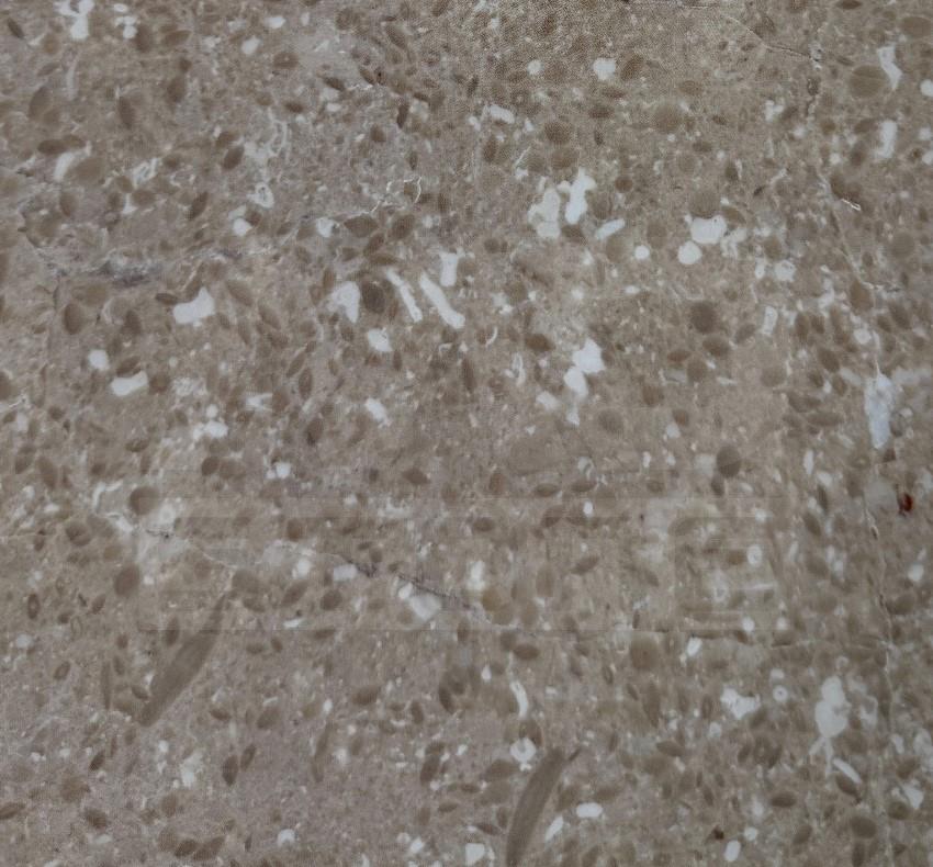 Marble French Beige