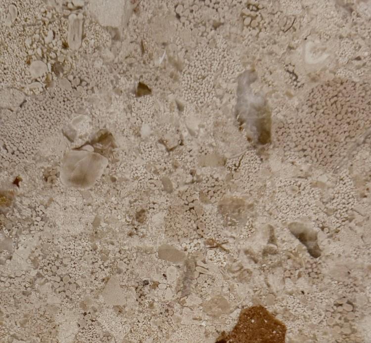 大理石-蝴蝶米黄