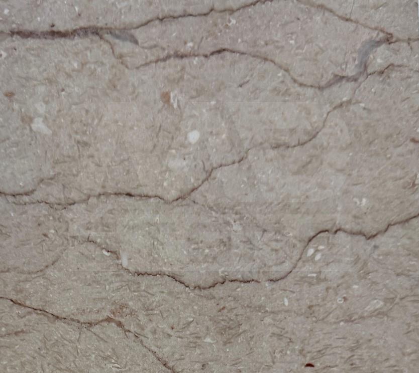 Marble Shell Beige 1