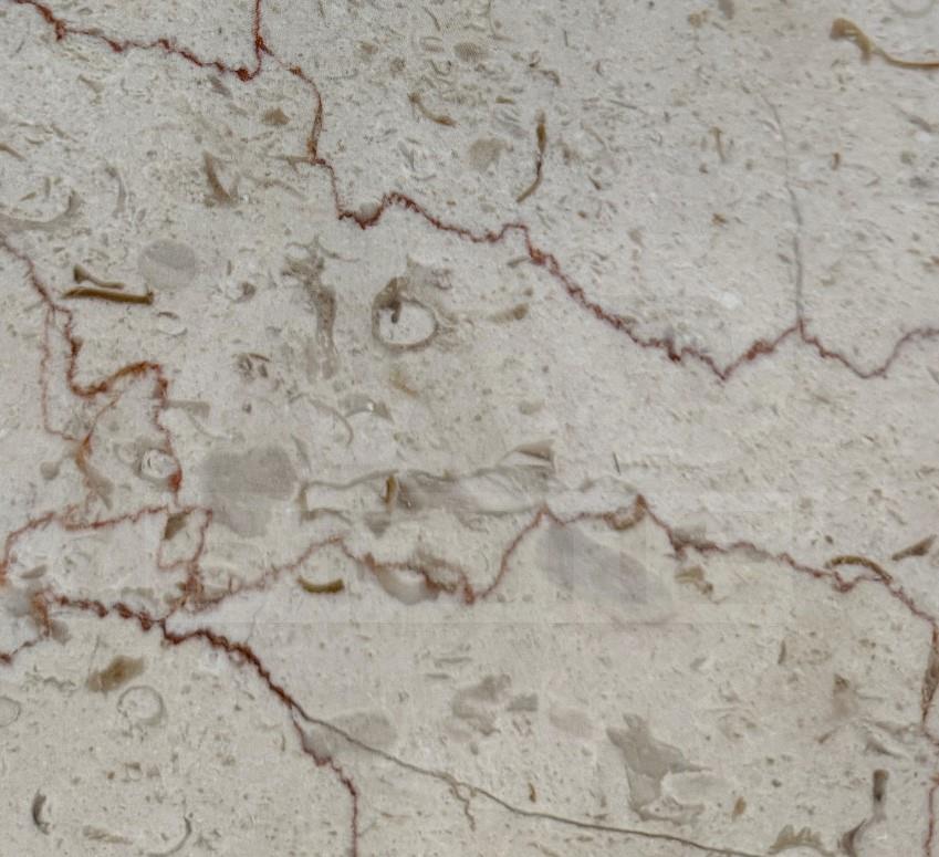 Marble Shell Beige 2