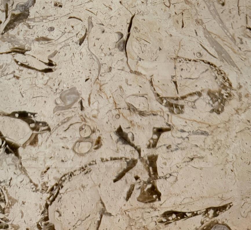 Marble Phoenix Beige