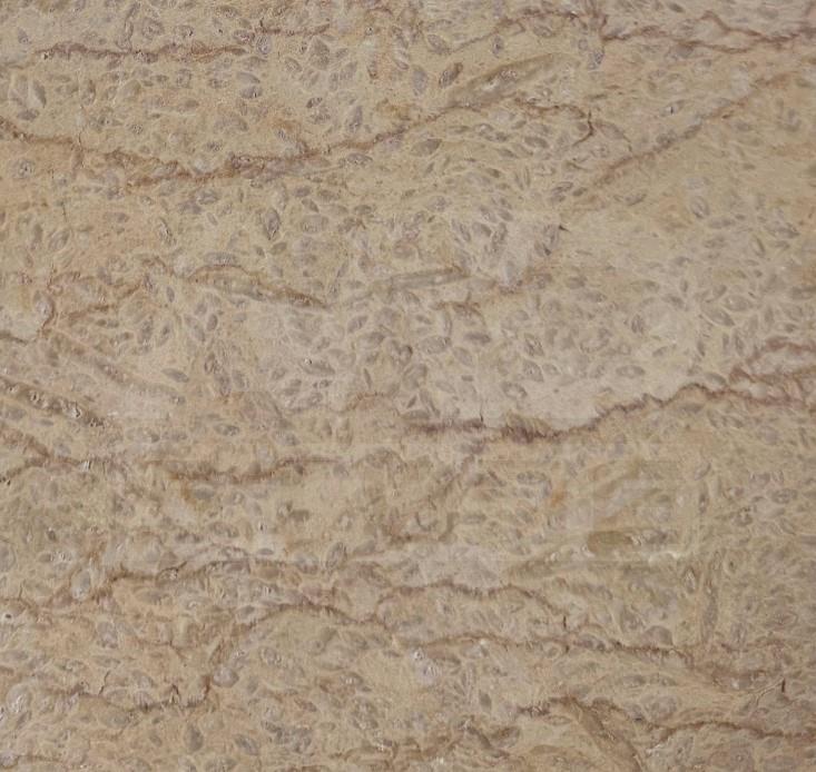 Marble Perlato S.F 2