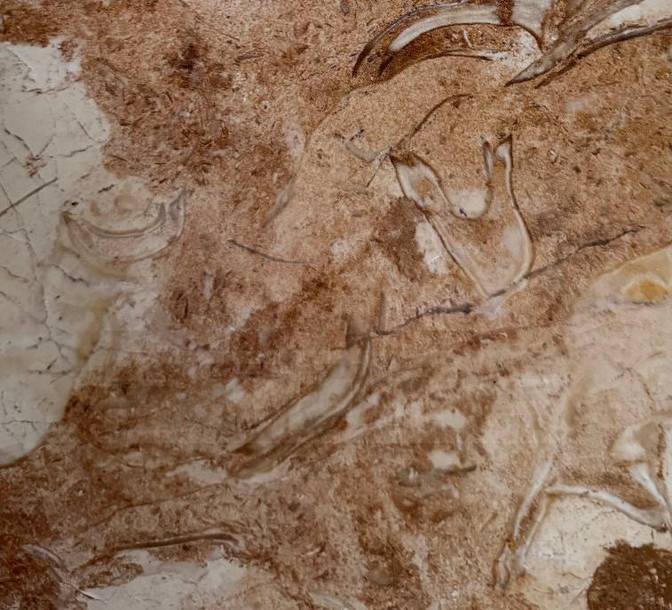 大理石-火舞黄砂