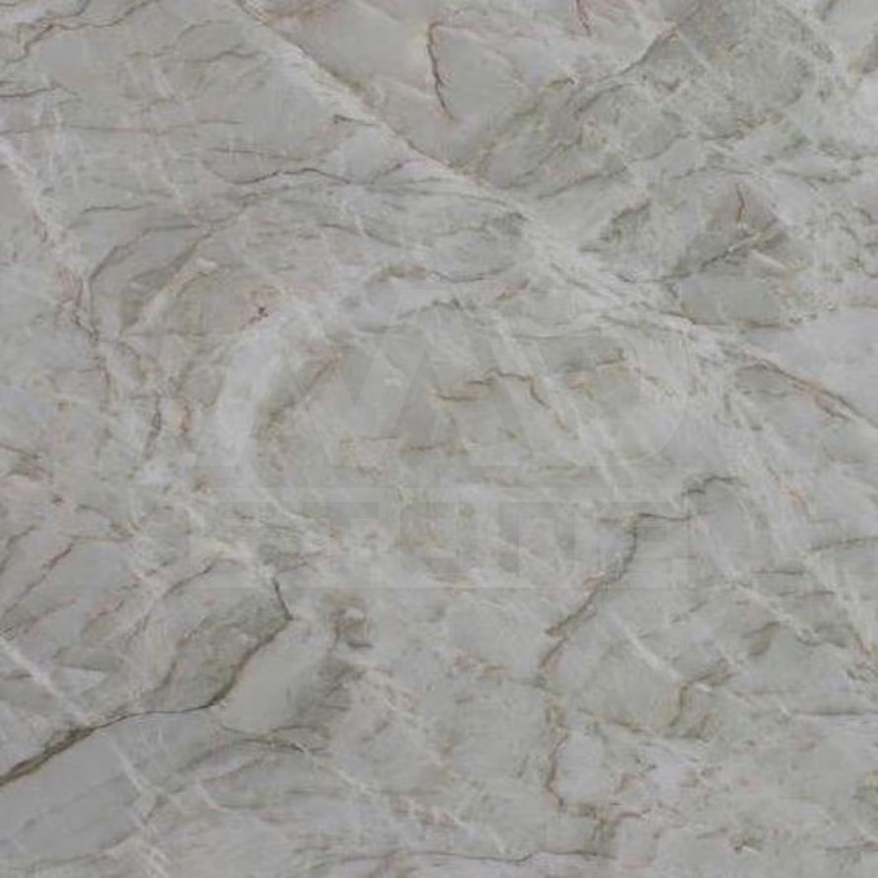 Sensa Vancouver_1769407161